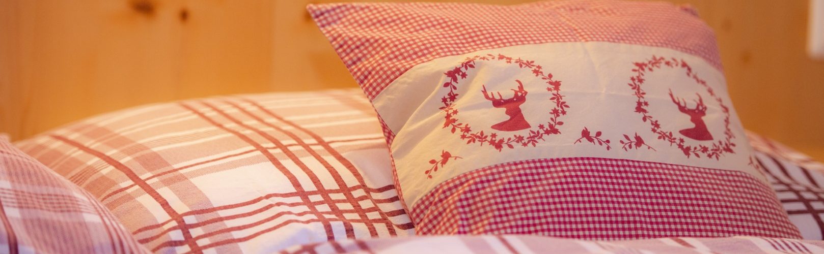 Appartement in der Wildschönau